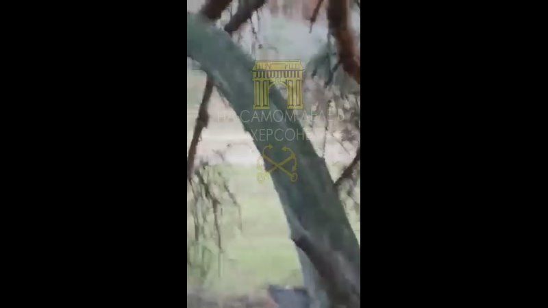 ����� � ���, ��� ���� ����� �� ���������� ����������� �� ��������� "�����������" ��, ��� �� ������� ��������� �� �������� ��������