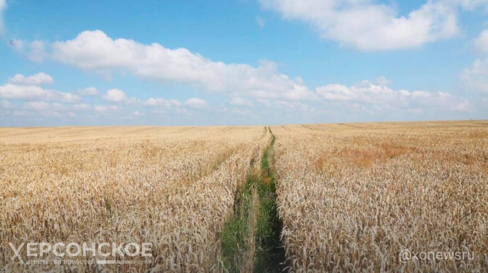 ������ ����� ������ ���� � ����������