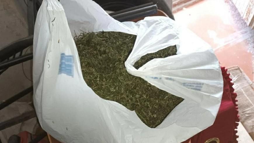 � ���������� ������� ����������� ������ � 50-������� ������ �������������� ������ 3 ����� � �������� � ����� ��������� ���������