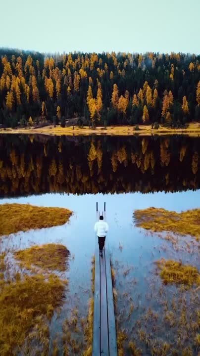 � �� �����, ���:. ����������� ����� ������� �������� �� ���-���� � 200 �����������