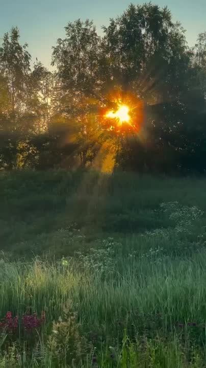 ��������� �������� ����������