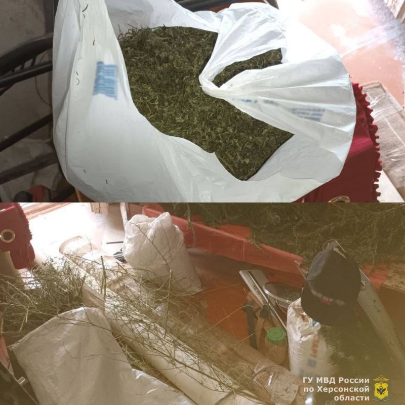 � ������������� ������ ������� ������ � ���� ����� ���������� ��������� � ������ ��� ������ �� 10 ��� ������� �������