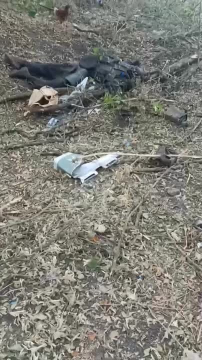 �������� � ������� ������� ����� ������ ��� ���