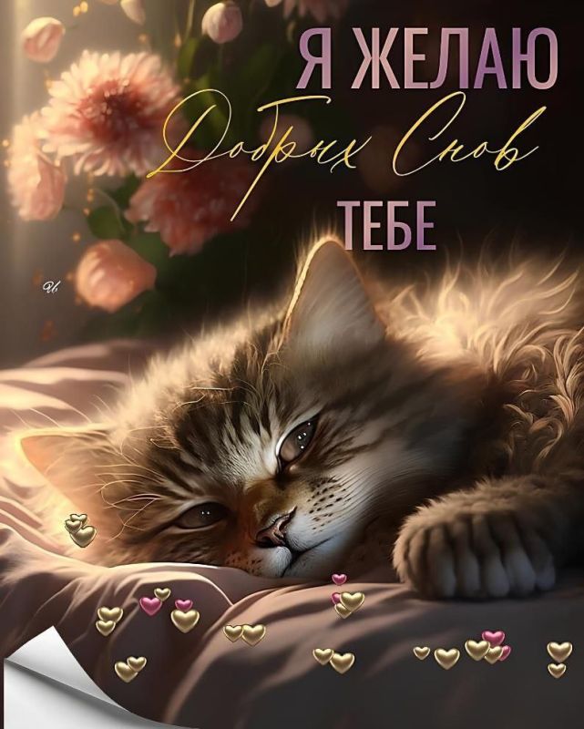 ���, ������, ������, ������ ����������