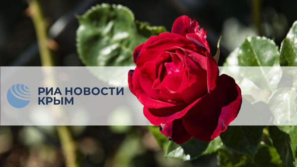 ������� ������� �����: 6 ��������