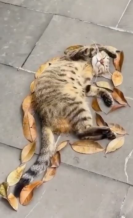 ������ ����� �������� ������ �� ����� �������� ���� � �����