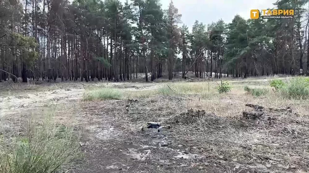 ������ ���� ��������� ��������������� �������� ���������� �� ������ ������ ������