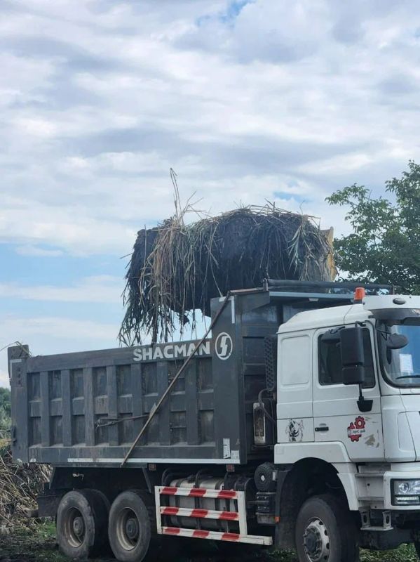 � ���������� ������� ���� ������� ���� ��������