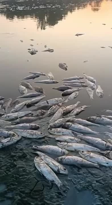 ���������� ����, �� ��� ���������� ����� ���� �������?