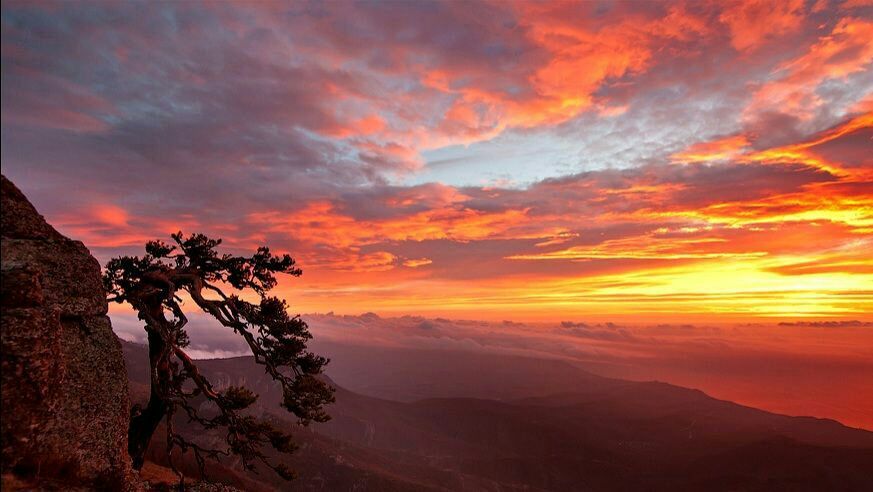 ����������� �������� � ����� ���������� ������� �����