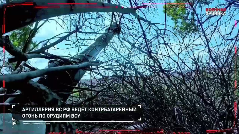 ����� �������� ��������� �� 6 ��������