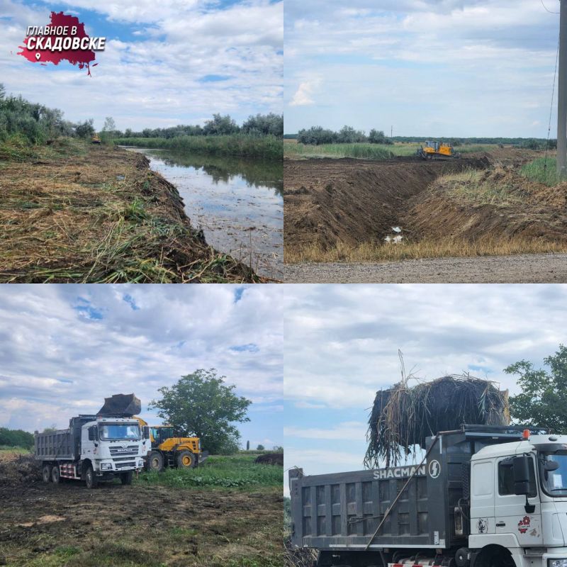 � ���������� ������� �������� ������ �� ������� ���� ��������