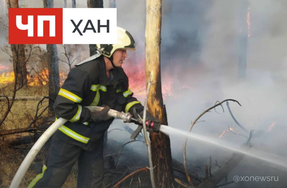 �� ����� � ���������� ������� ������������� ����� ����������