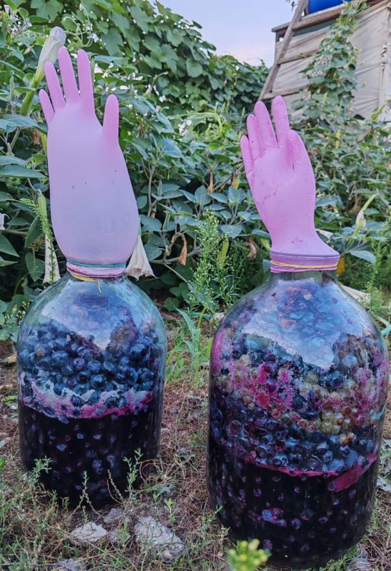 ����� ������ ���� ���� �������!