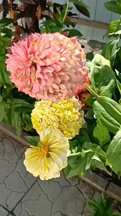 � �� �����, ���:. � ����� ����� ���� �������� �� �����, �����, ����, ������ � ����... ������ �����