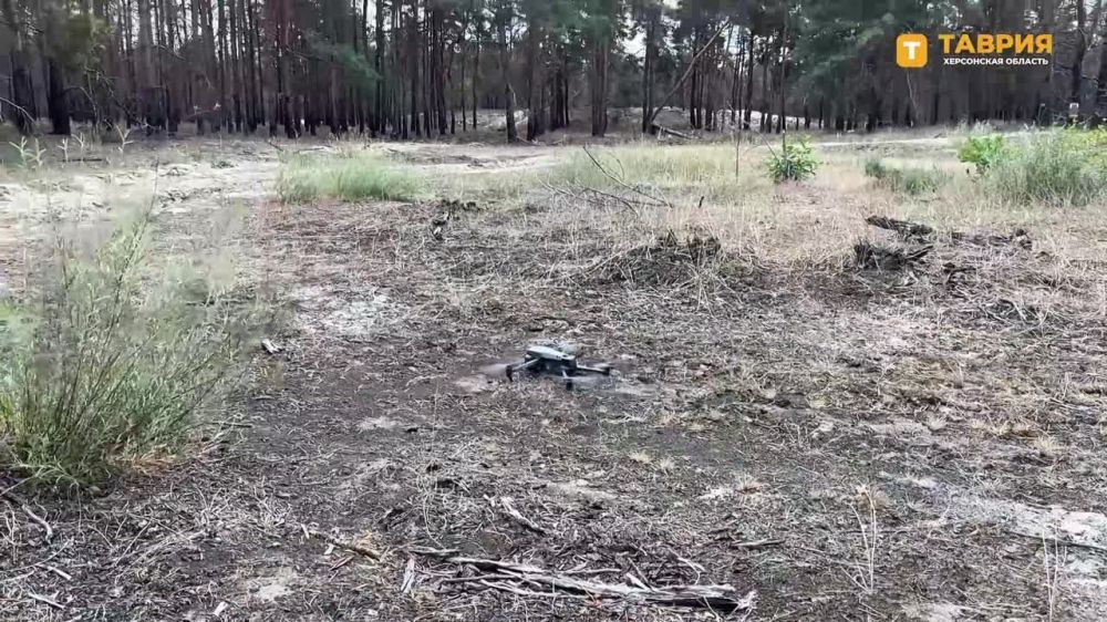 �������������� �� �� ���������� ��������������� �������� ���������� �� ������ ������ ������