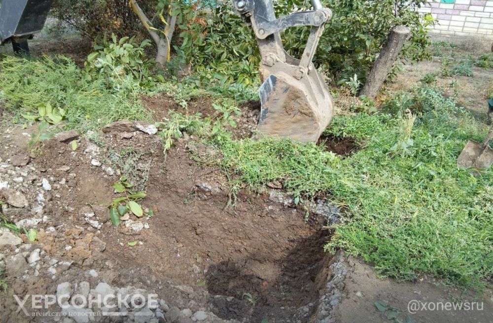 ������������ �������� �������� � ������������ � ������� ������