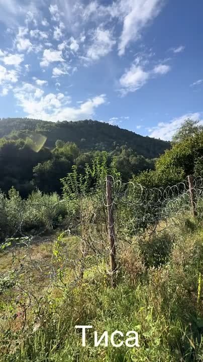 � 2014 ����� ������ �� �������, ���� �������� ������, �������� ������� ����� � ���� ���� � �������� ����� �����, �� ���-�� ����� �� ���, �� ���?