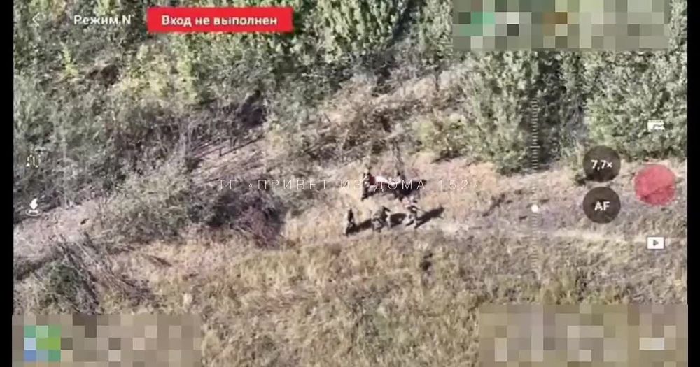 ���� ����� ������� ���� ��� �������-�������� �������� �������������, ������ ������������ ������������� ����������, �� ���������� ����������� �������������� ������ ����������