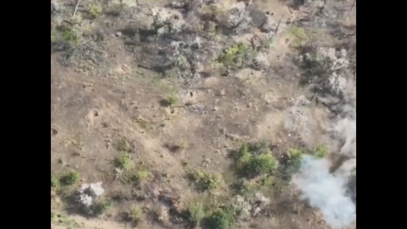 -1. ��������-����� ���������� �������