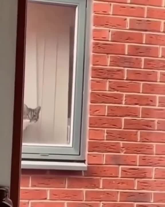 ��������� ����!. ��������-����� ���������� �������