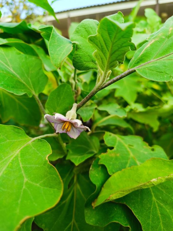 � ������ �����, �����������!