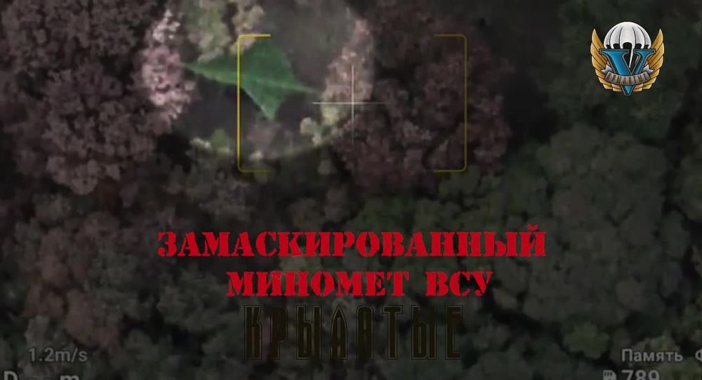 ���������� �����������, ������ ����� ������