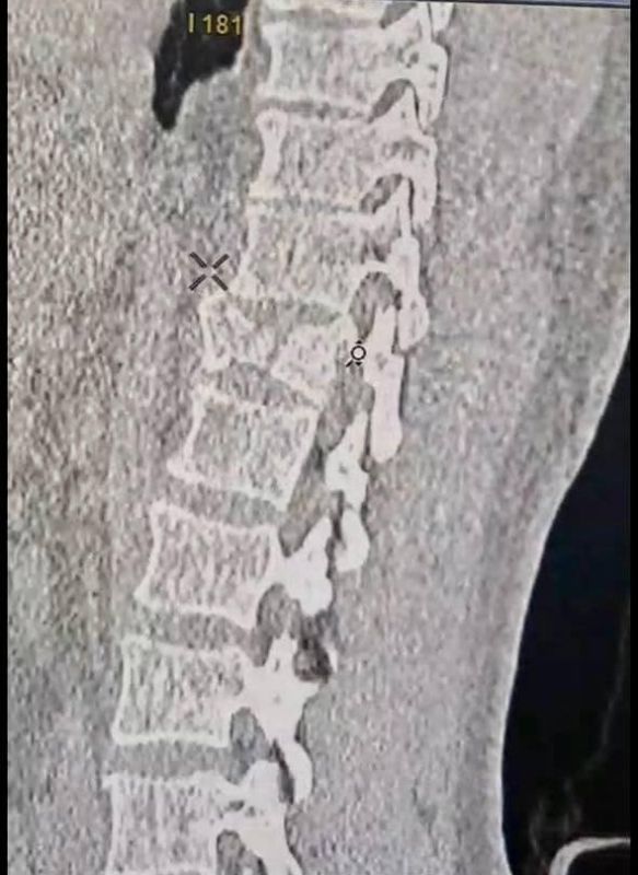������� ���������� �������� � �������������� ��������� ������������ �������� ������������������ ������� ����� ���