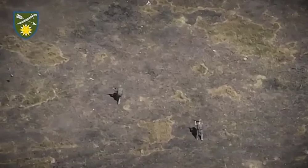 ���������� ����, ����� � ���� ����������� �������, ��������� ��������� ��������� FPV-���� ������� ��������