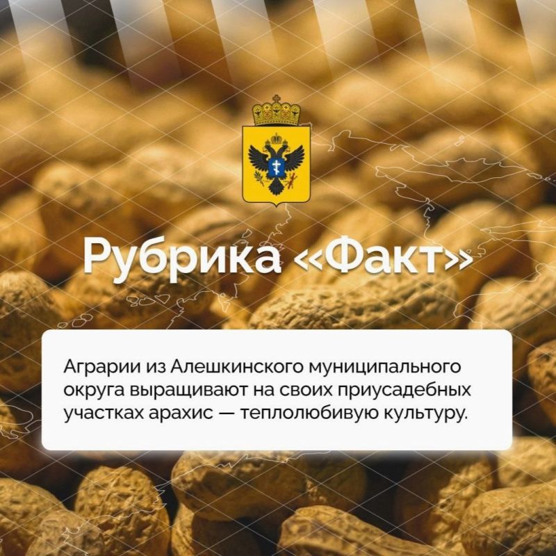 � ���������� ������� ��������� ��������� ������������ ����� ��������