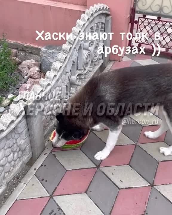 ����� ��� �������� ������������ ���������� ������� � ������ ����� ���� � ������