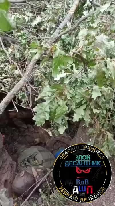 ������� �������. 810� ������� ������� ������ �������� ��������-����� ���������� �������