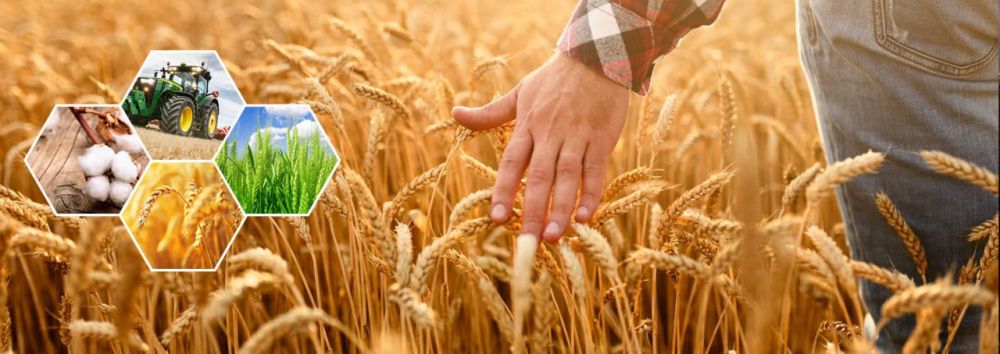 ������� ��� ������� �����