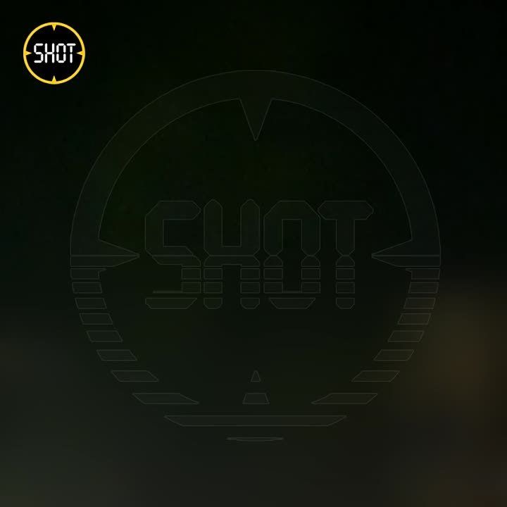 ����� ���� �������� �������-�������������� �������� � �������� �������