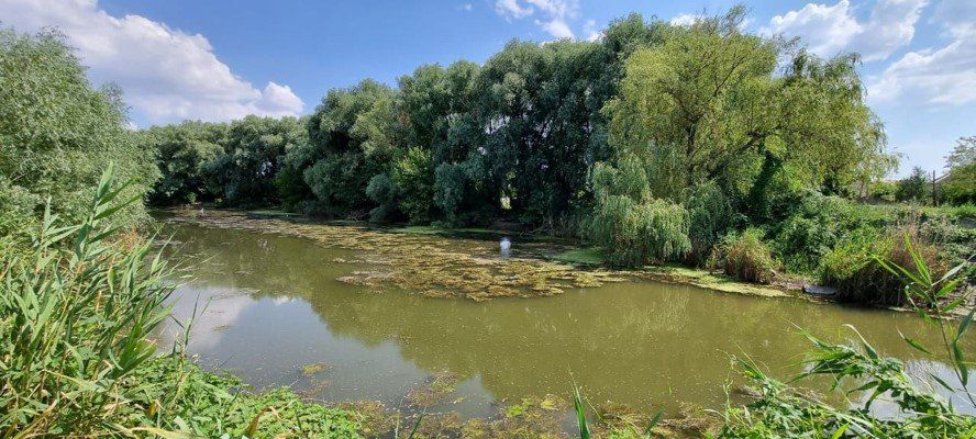 ������������� ��������� ��������, �������� � ����������� ���������� ������� ����������� ������� ������������ ��� ���� ��������