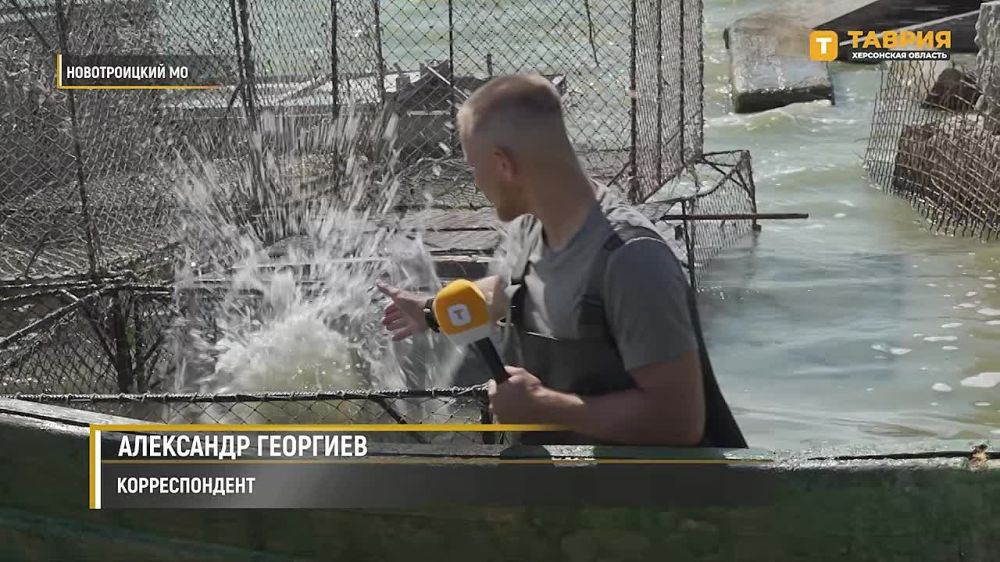 � ���������� ������� ���������� � ������ ����