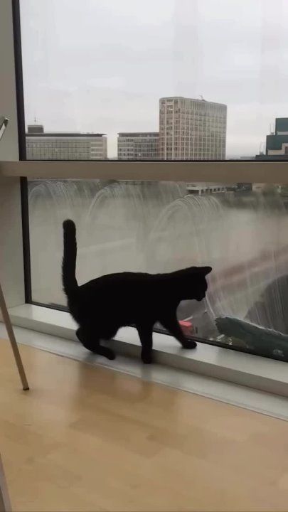 ���� ��������� ���� ����� ������ ���� ������� ����!