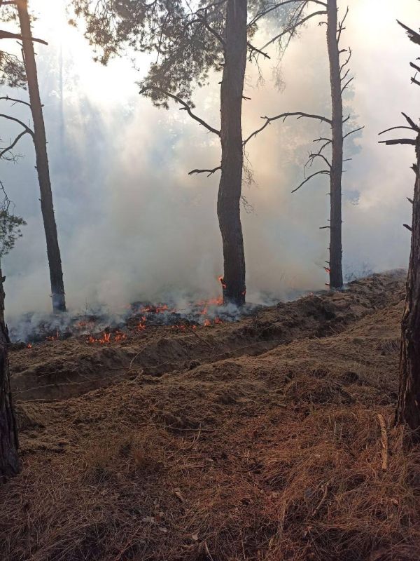 ��������������� ������ ���� �������� ������ �� �������������� �������