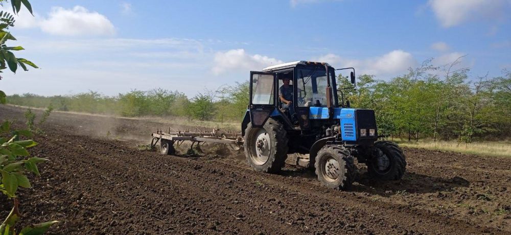 ������������ ������ ������ ����� � �������������� ������ �������� ����������