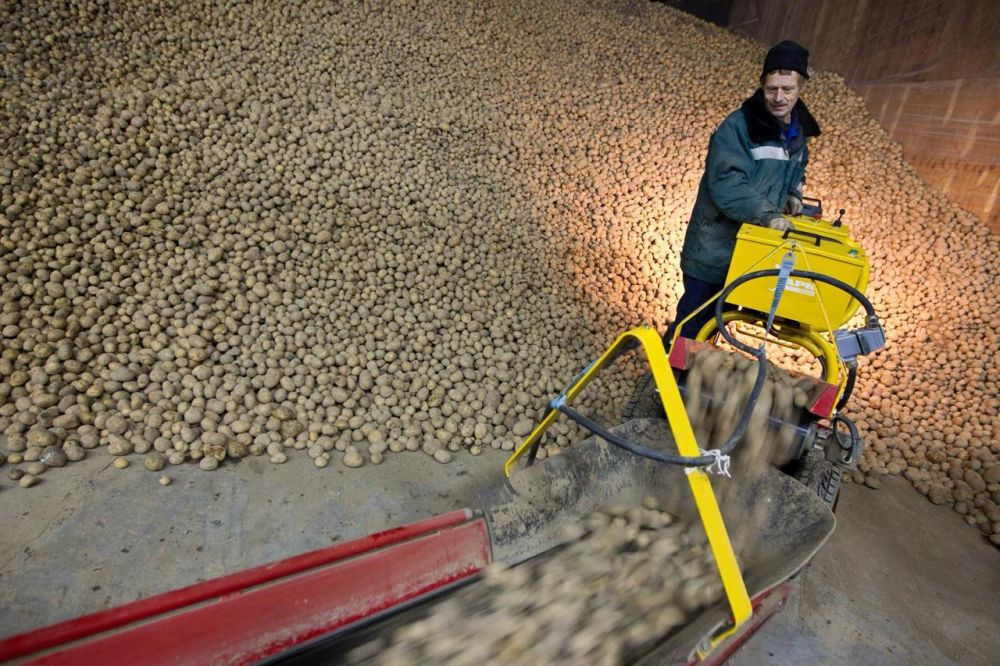 �������� ������: � ���������� ������� ������������ ��������� �������� � �������������������� �������� �����������, ��������� � ������� ��������