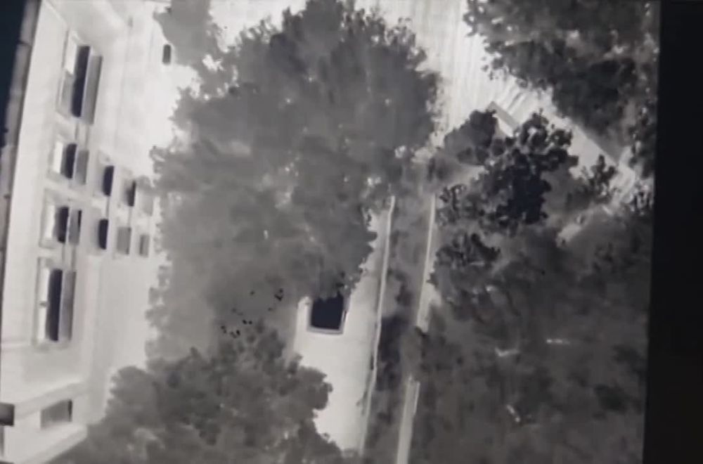 ���������� �����������. ����������� �������������� ������