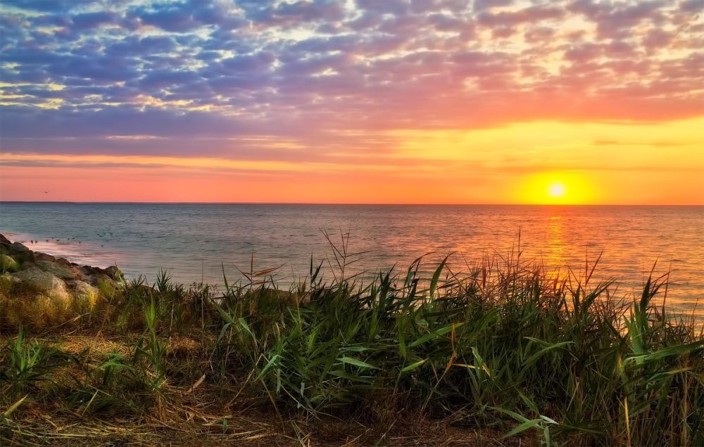 ����� ����������: ������ ����!. ������, ������� �� ��� �� ���� ��� � ��� ����� ���������� �������, ����� ������, ������� � ���������� �����!