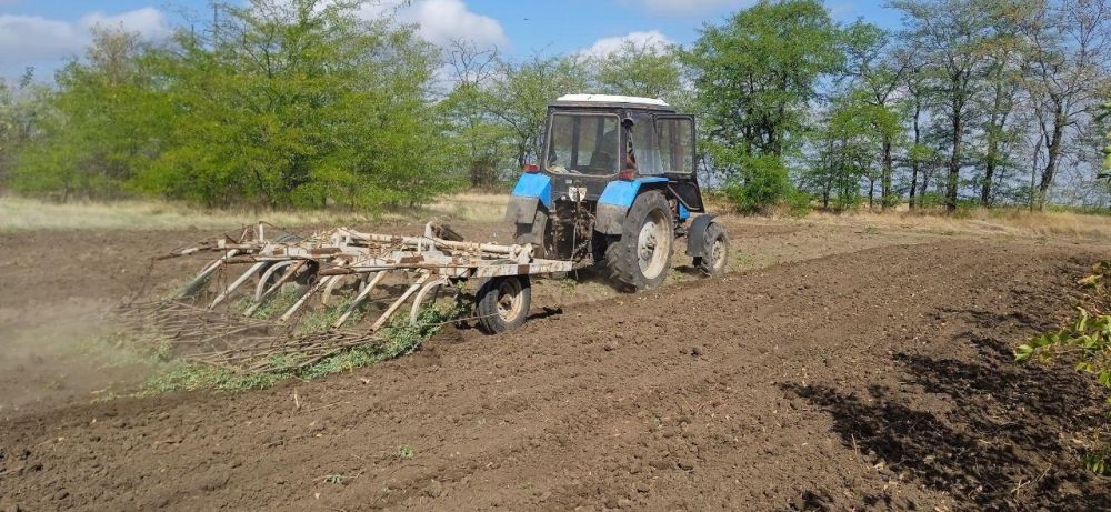 ������������ ������ ������ ����� � �������������� ������ �������� ���������� �������