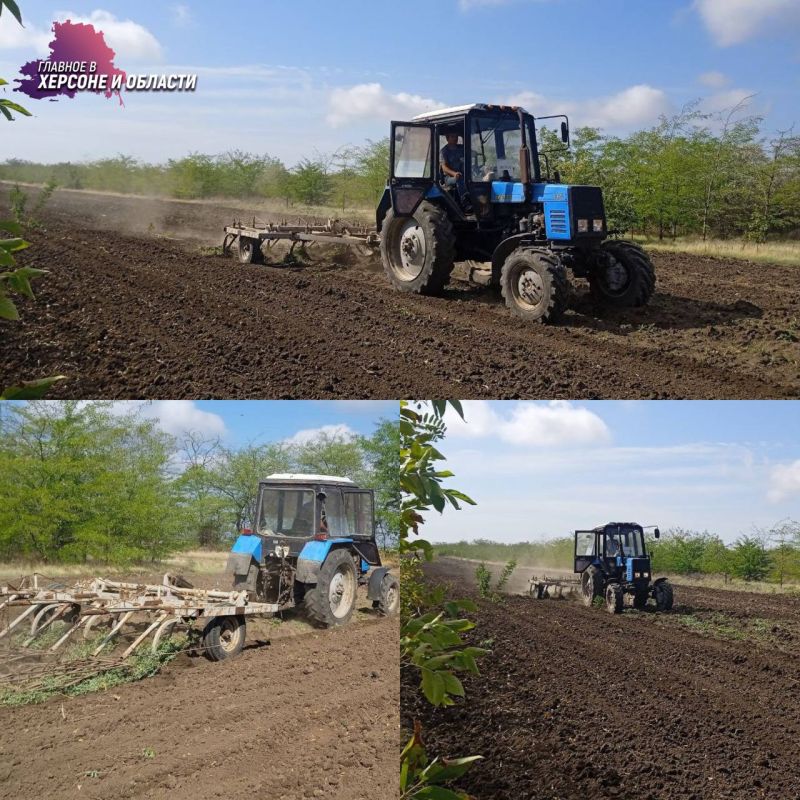 ������������ ����������� ��������������� ������ ������� � ���������� �������