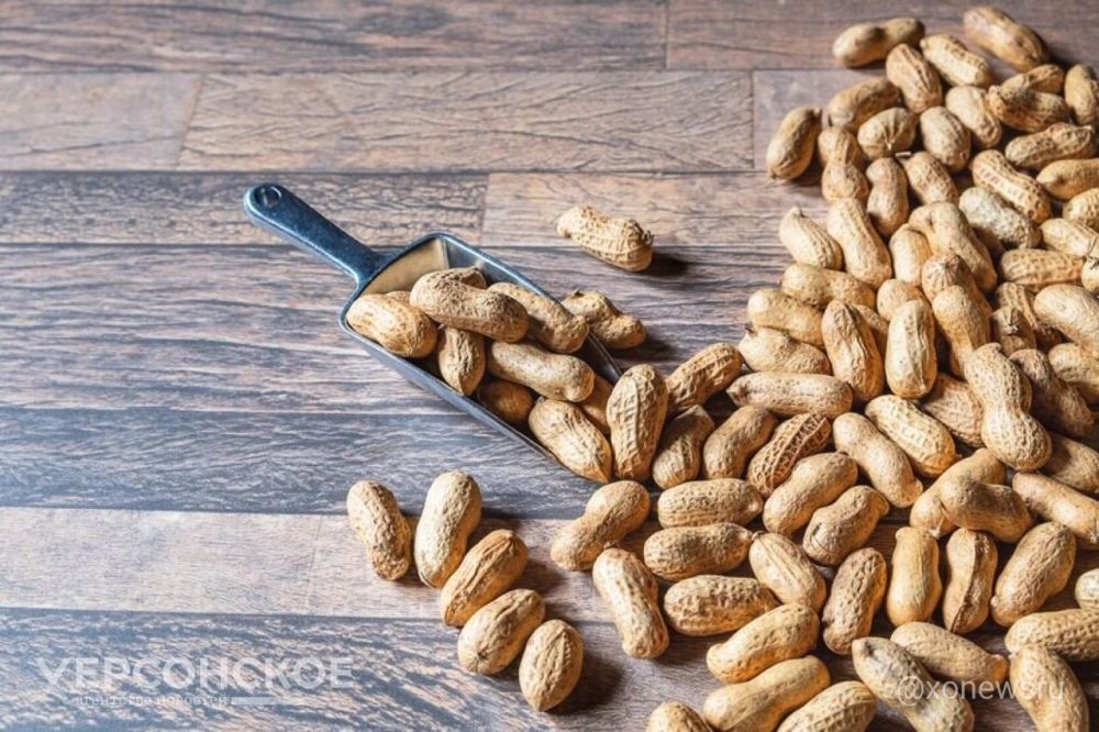 �� ��������� �������� ����������� ������ � ������� ������������� ���������� ������������ ��������