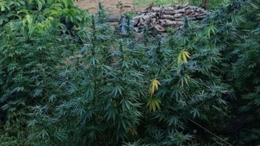 ��������������� ��������� ������������ ��������� �� ���� �������� ���������� ������