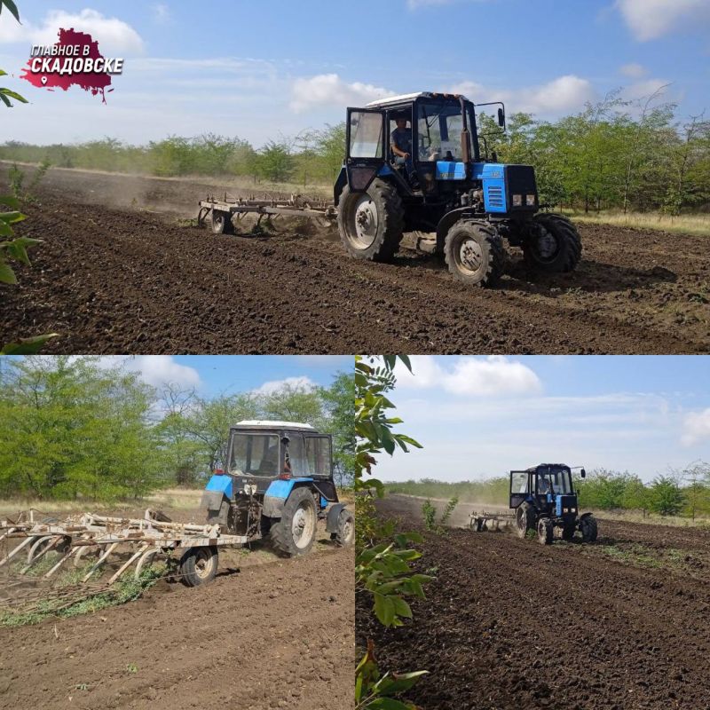 ����������� ������������� ����������� ��������������� ������ ������� � ���������� �������