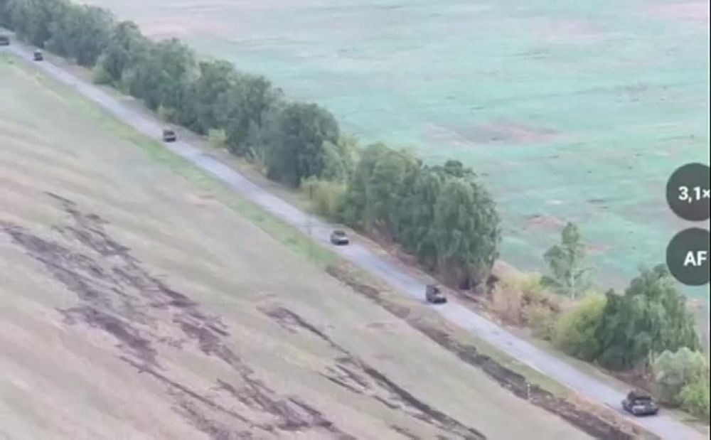 ��� ������: #������ �� ���� 11 �������� 2024 ����