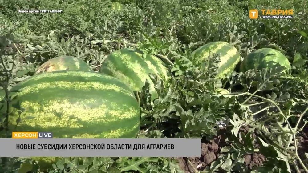 � ���������� ���� ����� �������� ��� �������� ���������� ��������� ����� ��������