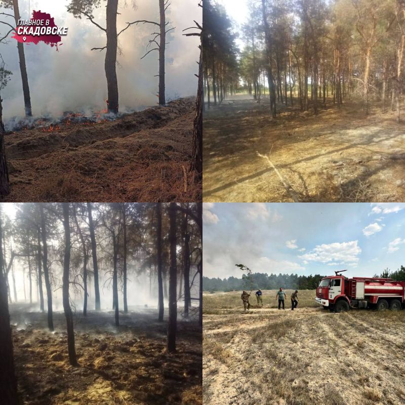 �������� ������ � �������� ������������ � �� �������� ��� �� ���������� ���������������� ������� ������������ ���� ���� ����������